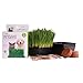 Handy Pantry Organic Cat Grass Kit - Includes 3 Trays, Soil Pucks, and 3 Packs Non GMO Wheatgrass Seed - A Healthy Treat For Cats, Dogs, Rabbits, More