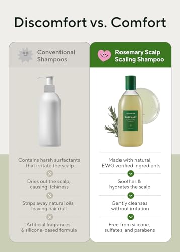 AROMATICA Rosemary Scalp Scaling Shampoo - Korean Hair Care with Thinning Hair Loss Natural Rosemary Essential Oil for Women - Vegan Hair Growth - Free from Sulfate, Silicone, and Paraben (13.53 oz)