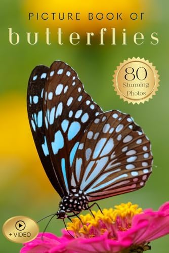 The 100 Most Beautiful Butterflies in the World: A minimalist