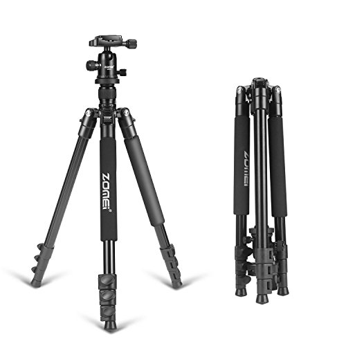 ZOMEI F647 64.5-Inch Camera Tripod Lightweight Aluminum Alloy Travel and Compact with 360 Degree Ball Head and Carrying Bag for Canon, Nikon, Sony, Samsung, Fuji Camera and DSLR