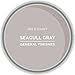 General Finishes Water Based Milk Paint, 1 Pint, Seagull Gray