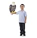 Bald Eagle - Plush
