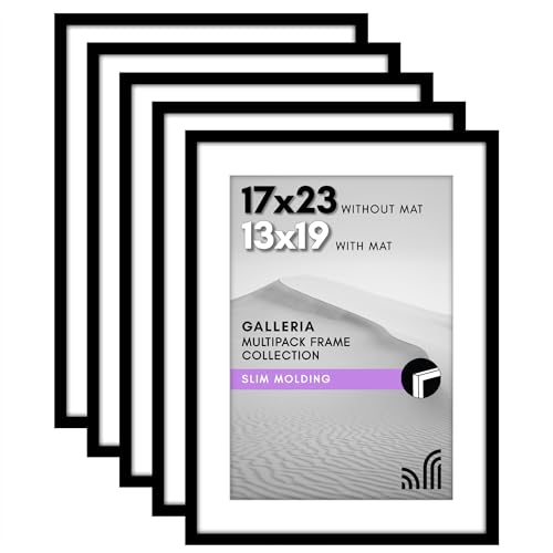 Americanflat Bilderrahmen mit poliertem Plexiglas, 43 x 58 cm, 5 Stueck, Verwendung als 13 x 19 Rahmen mit Passepartout oder 17 x 23 cm Rahmen ohne Passepartout, Galleria-Kollektion,