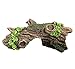 SLOCME Aquarium Wood Ornament Fish Tank Trunk Decoration – Driftwood Decor with Cave for Fish and Shrimp to Swim Through Or Hide Outthumb 2