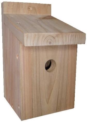 Caja de pájaro 25 mm caja TIT - cedro: Amazon.es: Jardín