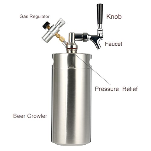 YaeBrew 128 Ounce Homebrew Keg System Kit for Home Brew Beer with a