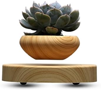 Bonsai Pot Floating Plant Pot for Indoor Bonsai and Home Office Decoration