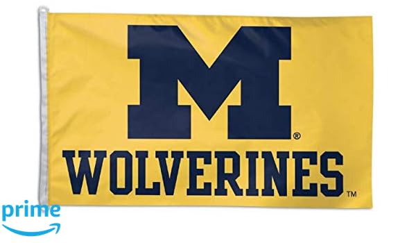 michigan wolverines fan shop