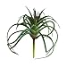 LianLe Artificial Succulent Plants Home Creative Decoration Succulent Flowers