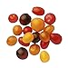 Locally Grown Cherry Tomatoes, 1 Pint