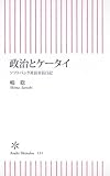 政治とケータイ ソフトバンク社長室長日記 (朝日新書)