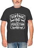 Feisty and Fabulous 73rd Birthday Gifts Men 1947, 1947 T Shirt Men, Gray 1947