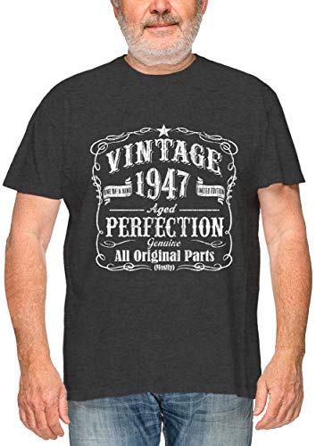 Feisty and Fabulous 73rd Birthday Gifts Men 1947, 1947 T Shirt Men, Gray 1947