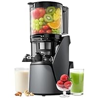 EanOruus Juicer Machines, 3-in-1 Cold Press Juicer with 6.5