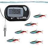 SunGrow Neon Tetra Thermometer with LCD Display, 2.3x1.5 Inches, Accurately Reads Tank Water Temperature, Battery and 2 Suction Cups Included for Quick Installation, 1 Piece