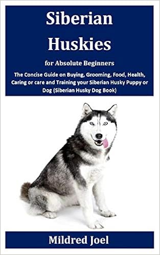 siberian husky puppy care