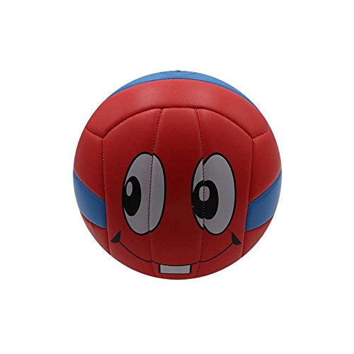 Jim Sport Balon VOLEY Playa ROX R- Face: Amazon.es: Deportes y ...