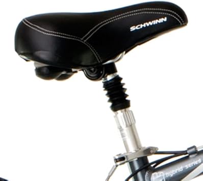 schwinn merge