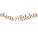 5 Pcs Rose Gold Bachelorette Party Supplies Decorations Bridal Shower Kit,Bachelorette Party Banner Set For Bride To Be