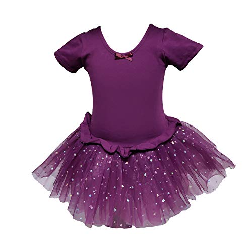 Bosowos Girls Skirted Leotard, Dance Dress Ballet Dancewear, Short Sleeve Glitter Tutu for Toddler Kid Girl