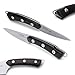 TUO Cutlery Hacker Series Small Outdoor Fixed Blade Camping Knives Paring Knife 3.5 Japanese High Carbon Stainless Steel with Premium Ebony wood Full Tang Handle