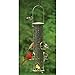 Aspects 420 Antique Brass Quick Clean Big Tube Feeder, Large, Brown/A