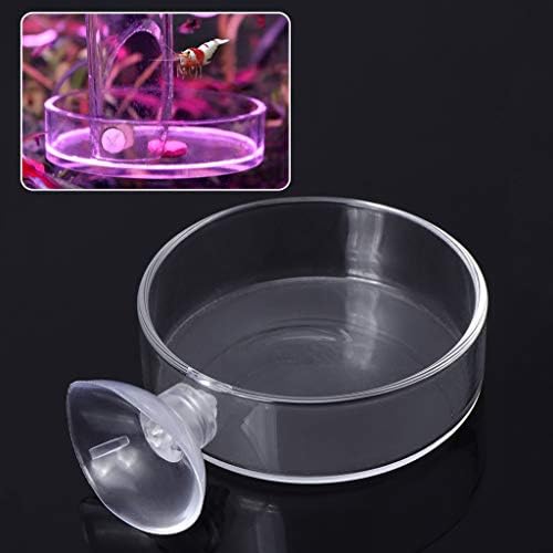 โคNew Arrival Fish Tank Feeder Aquarium Shrimp Glass Feeding Bowl Clear Dish Tray
