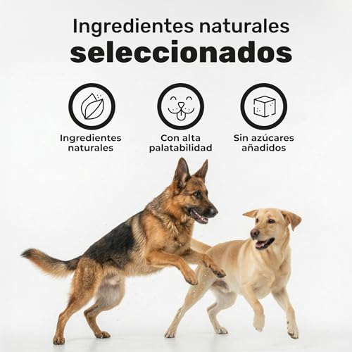 100% Natural Dog Dental Cleaner with Kelp Premium Algae - 180g | Bad Breath Powder, Plaque & Tartar - Toothbrush & Toothpaste Alternative - Natuva Pets