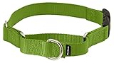 PetSafe Medium Martingale Collar with Quick Snap Buckle, 3/4