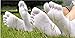 5 Pairs Fashion Men Unisex Five Fingers Separate Toe Socks Comfortable Warm Hot