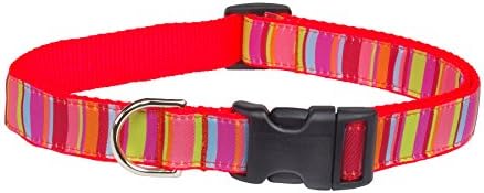 Small Lime/Coral Stripe Dog Collar: 5/8" Wide, Adjusts 10-14" - Made in USA.
