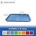 Blue Dental Autoclavable Plastic Instrument Set Up Flat Tray (13.25 Inches x 9.75 Inches, Size B) by PlastCare USA