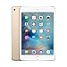 Apple iPad Mini 4 MK6L2LL/A 7.9-Inch, 16GB, Wi-Fi, iOS 9, Gold (Renewed) primary