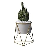 Planter Pots Indoor,6 inch Modern Plants and Planters Garden White Ceramic Round Bowl with Metal Stand for Succulent Planter Cactus (White + Gold)