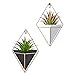 2 Pack Modern Decorative Geometric Wall Decor Containers Hanging Planter Vases for Succulent Plants/Air Plant/Faux Plant/Mini Cactus Plant/Artificial Plants and More (Black and White)
