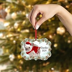 African Pygmy Hedgehog Christmas Ornament 2024