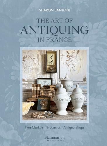 Amazon.com: Terre de fer: Collections de céramique française