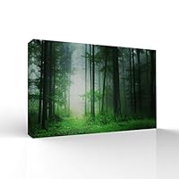 signwin-Canvas Wall Art-Sunshine in The Forest -Canvas Prints Home Artwork Decoration for Living Room,Bedroom - 12x18 inches