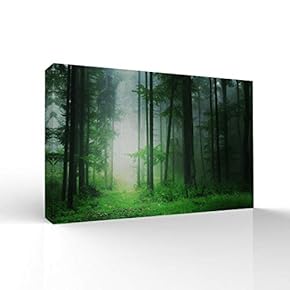 Canvas Wall Art-Sunshine in The Forest -Canvas Prints Home Artwork Decoration for Living Room,Bedroom - 12x18 inches