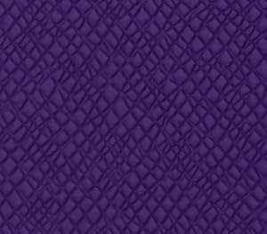 Paperwhite Essential Bundle Parent