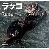 ラッコ (北国の野生動物)