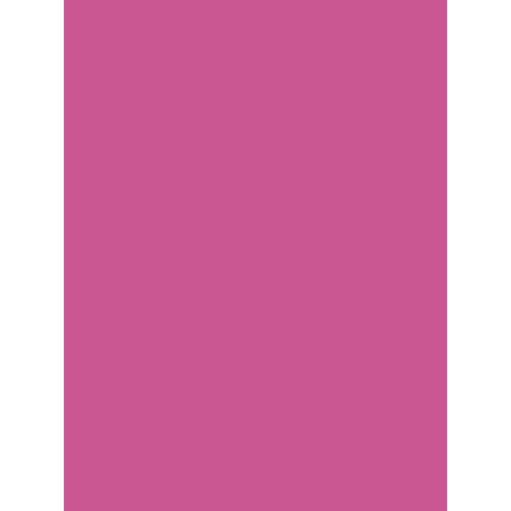 Clairefontaine 384587C Pack of 25 Sheets Coloured Poster Paper 90g/m² Format 60x80cm Cutting Writing Creative Leisure Activity Adults Children Colour Fuchsia — image 1