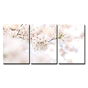 3 Piece Canvas Wall Art - Cherry Blossom in Spring - Modern Home Art Stretched and Framed Ready to Hang - 16"x24"x3 Panels