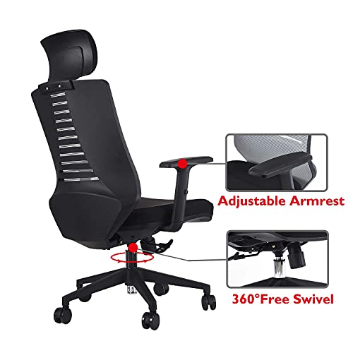 KLASIKA Ergonomic Office Chair with Height Adjustable Back and Lumbar
