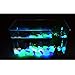 JUSLIN 300pcs Glow in the Dark Garden Pebbles, Green Blue White, with Gardening Glove and Shovel for Gardening Decorations