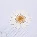 Pomeat 24pcs Daisy Pressed Flower