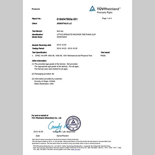 Little Sprouts 2 in 1 Pacifier Clip Teething Silicone Pacifier Clip