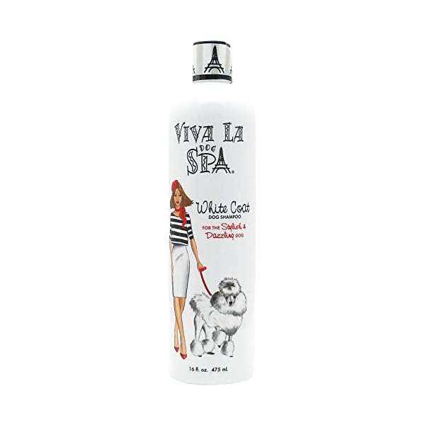 spa dog shampoo