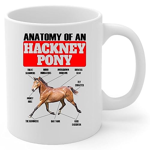 Lovesout Funny Bay Hackney Pony Anatomy Chart