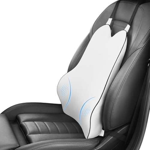 Backrest Pillow Orthopedic Car Seat Covers Dreamer Car Back